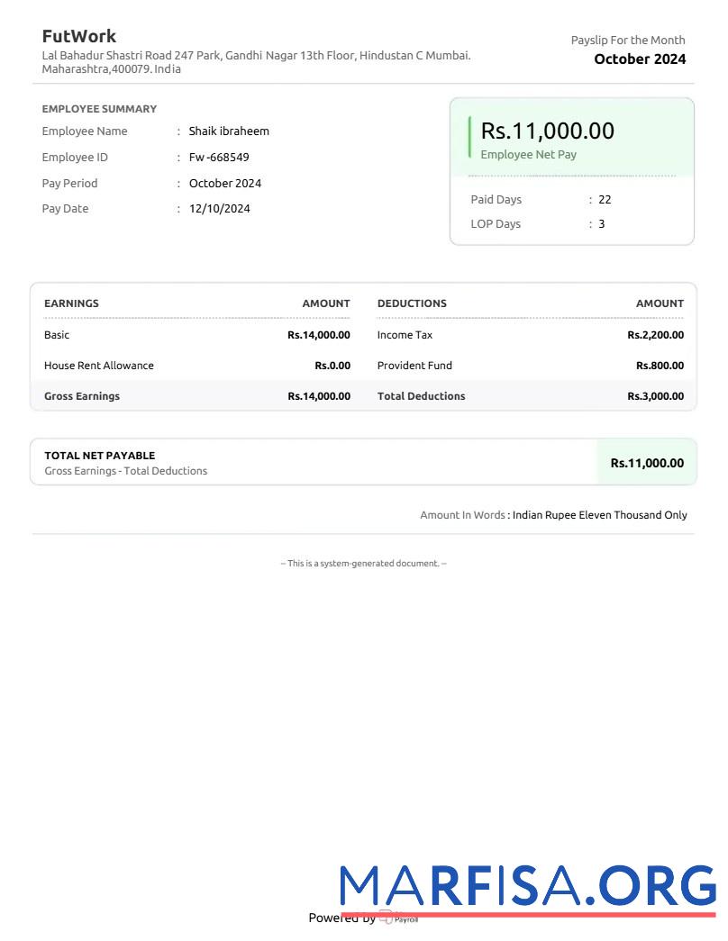 Blank India FutWork E commerce service company payslip real example